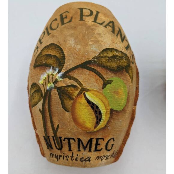 Spice Plants Jars Pair Nutmeg Myristica Moschata Black Pepper Piper Philippines - Picture 8 of 11